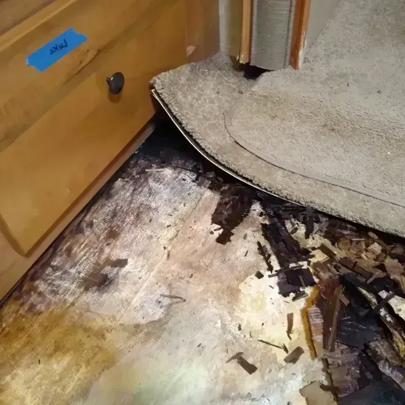 Wood Floor Water Damage in Central, LA